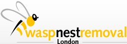 Wasp Nest Removal London