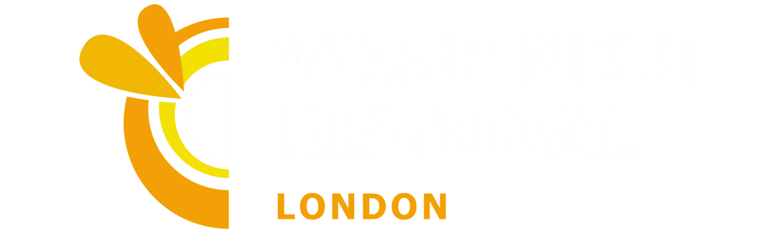 The Life Cycle of Wasps in the UK | Understanding Wasp Development
